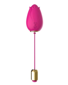 Mandala Remote Egg Rose Red