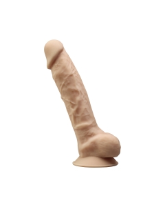 Dong Model 1 (8") 