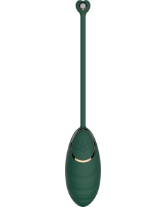 VE2 - Remote Egg Vibrator